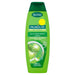 Palmolive Shampoo Aloe Vera PMP 350ml (Case of 6) - BritishGram.com