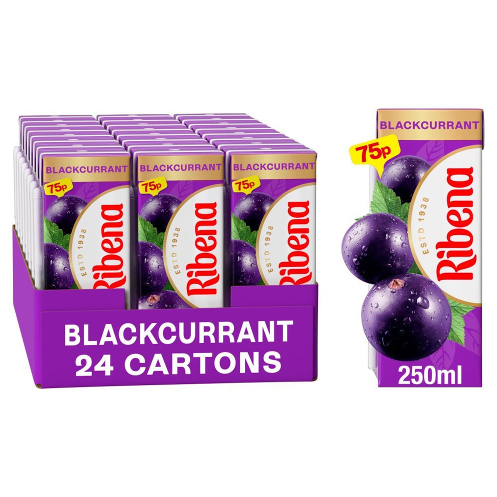 Ribena Blackcurrant 250ml (Case of 24) — BritishGram.com