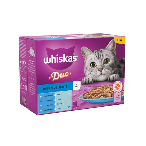 Whiskas 1+ Duo Ocean Delights Adult Wet Cat Food Pouches in Jelly 12x85g (Case of 4) - BritishGram.com